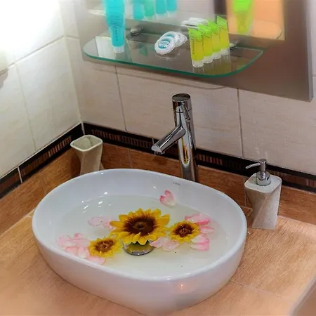 Dafni's Beachfront Luxury Никити