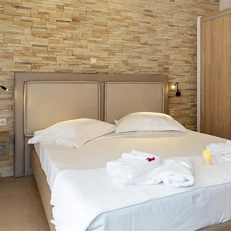 Dafni's Beachfront Luxury 尼基季