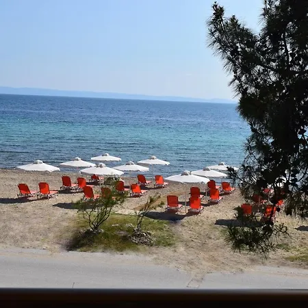 Dafni's Beachfront Luxury
