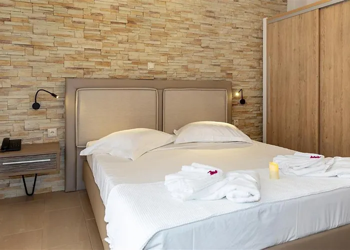 Dafni's Beachfront Luxury نيكيتي