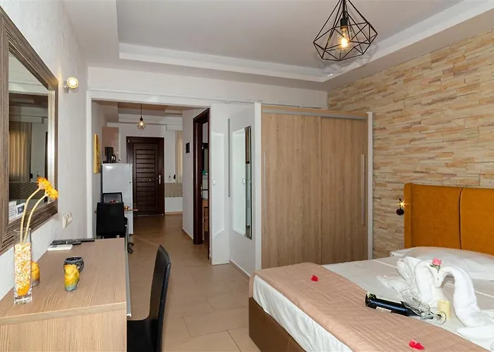 شقة فندقية Dafni's Beachfront Luxury نيكيتي