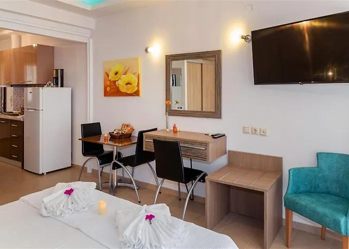شقة فندقية Dafni's Beachfront Luxury نيكيتي