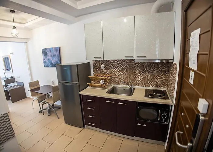 شقة فندقية Dafni's Beachfront Luxury نيكيتي